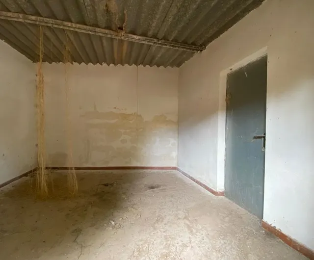PARCELA CON EDIFICACION EN TODOSOL — 12