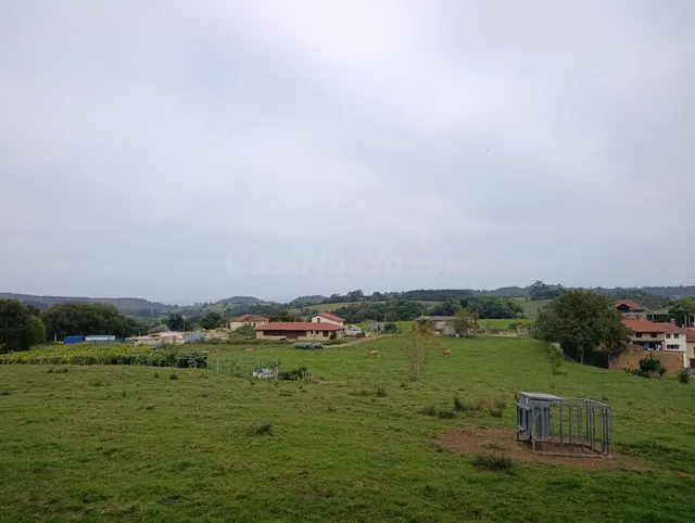 Terreno Rústico en venta - Noriega