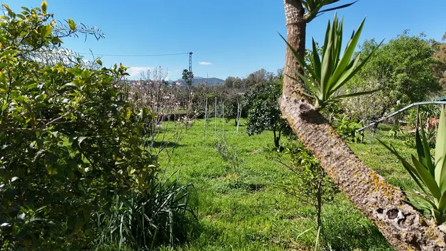 Adosado 5 habitaciones 101m² en venta - South of spain — 11