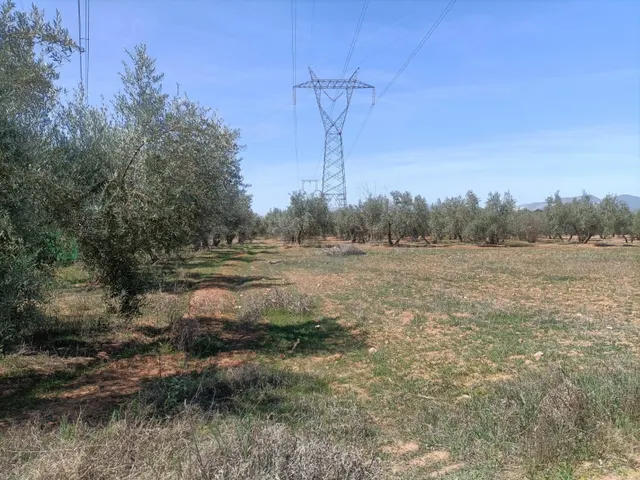 Finca rústica en venta — 3