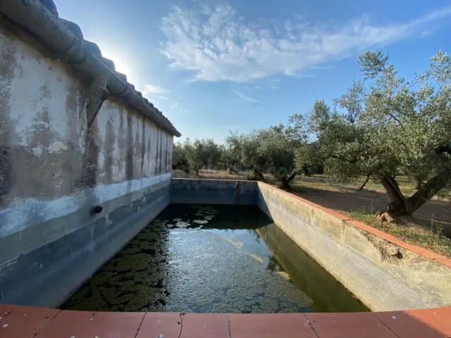 Fantástica finca con casa en la Miliana — 4