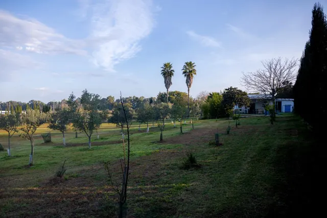 PARCELA CON CASA JUNTO A MONTECASTILLO — 14