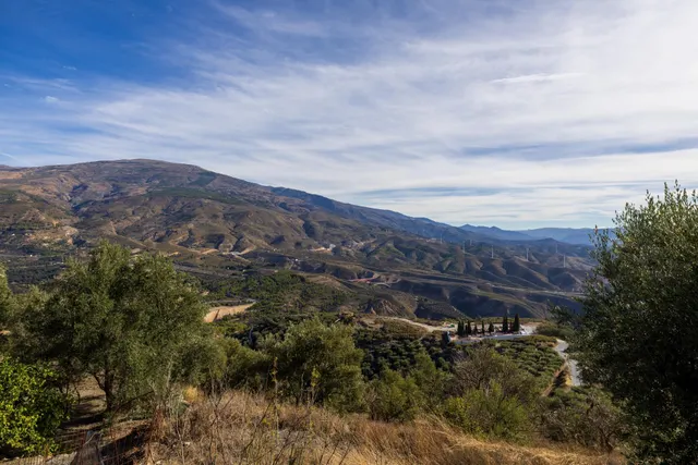 ¡Oportunidad única! Dos Fincas rústicas de mas de 15.000 m2 en total en Pinos del Valle. VENTA JUNTAS O SEPARADAS — 30