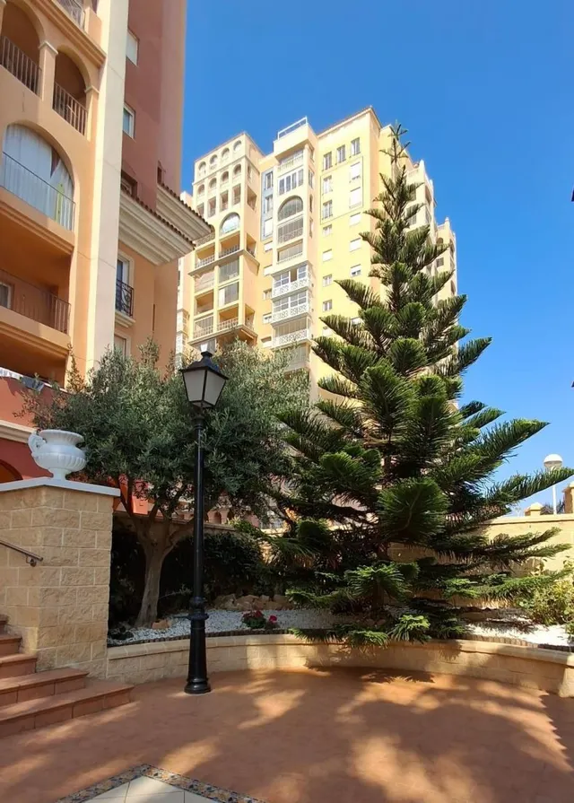 Apartamento 3 habitaciones 93m² en venta - Los Frutales — 22