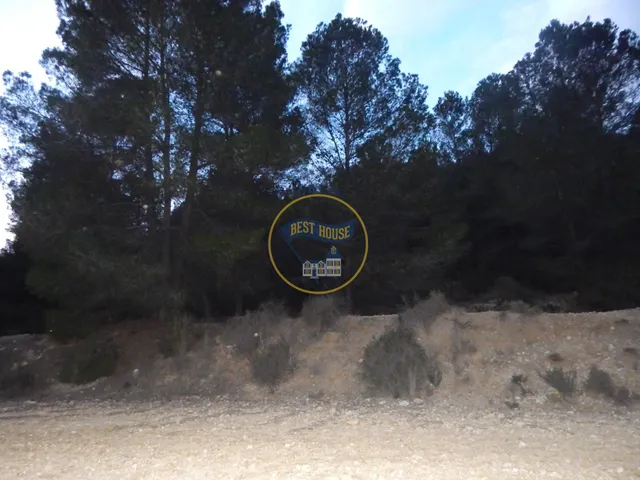 OPORTUNIDAD DOS PARCELAS A LA VENTA EN OLLERIA — 8