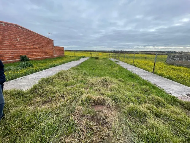 SOLAR URBANO DE 27500 METROS CON PROYECTO DE URBANIZACIÓN - foto 3
