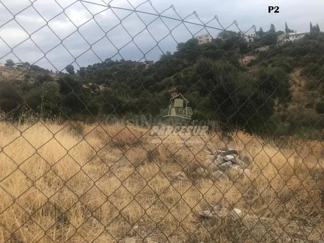 CUEVAS BAJAS- Parcelas de 2.000 m con pozo comunitario y pun - foto 5