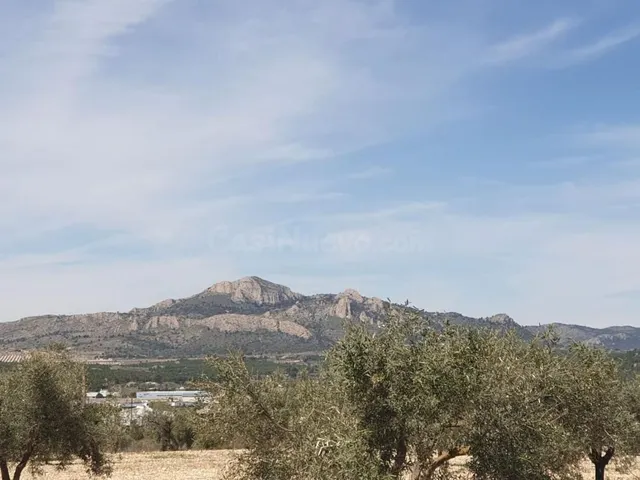 Terreno agrícola con árboles frutales y vistas al castillo e - foto 4