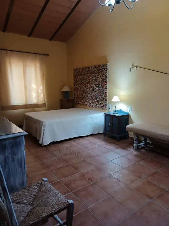 Magnífica casa de campo con piscina y vistas a Moguer, en finca de casi 15.000 m2 — 24