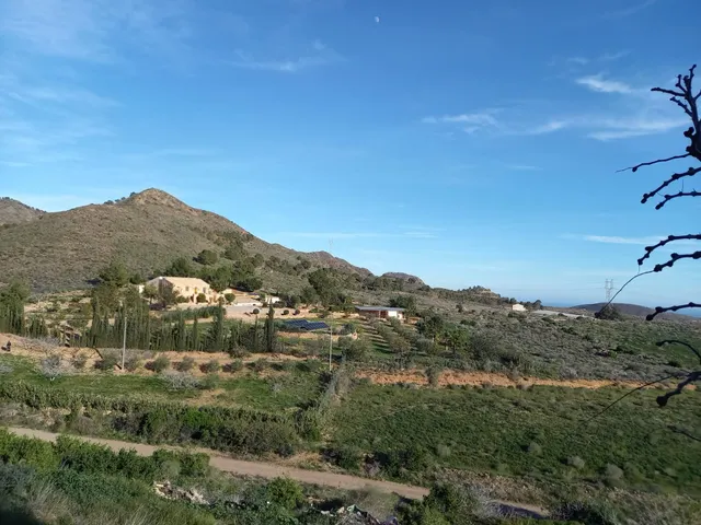 Refugio único con 3 viviendas, olivar y energía solar – Costa Cálida, Murcia — 8
