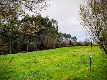 Terreno urbano en venta - Costa verde — 4