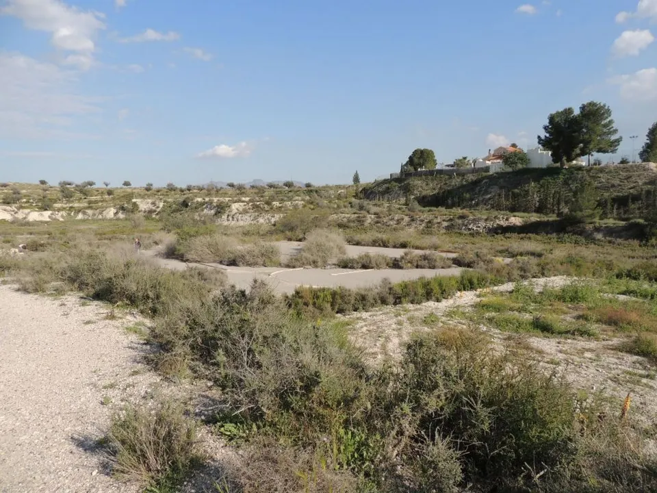 ++Terreno no urbano en carretera de molina de segura a fortuna, primera linea de carretera++