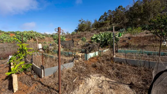 Terreno urbano en Tacoronte. — 38