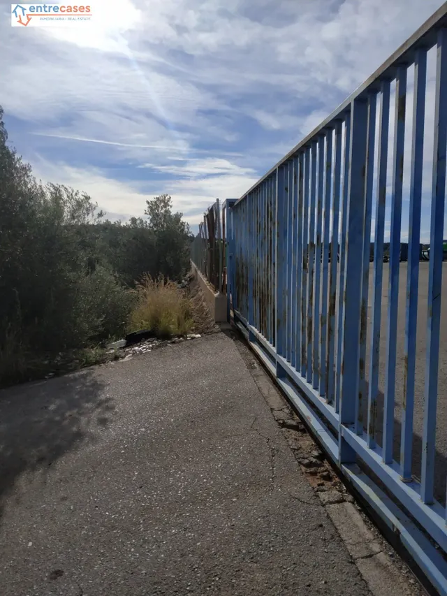 PARCELA DE DOS HANEGADAS EN PARTIDA LA COVA, VALL D'UIXO — 3