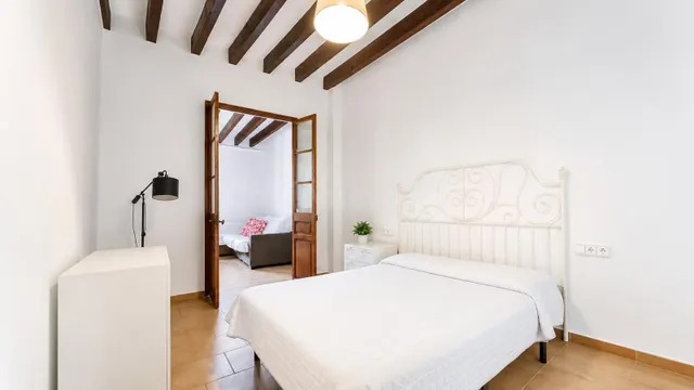 Auténtico ático con encanto histórico y terraza privada - foto 4