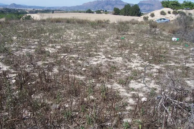 Terreno rural en venta en Orihuela Terreno rural arneva - foto 4