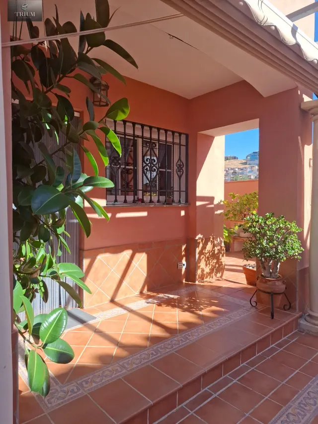 Fantástico chalet en villa argaz, junto al cc serrallo plaza — 18
