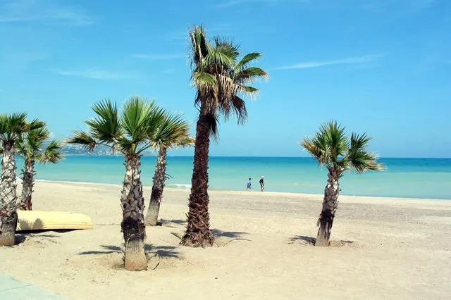 Suelo urbano en primera línea de playa — 6