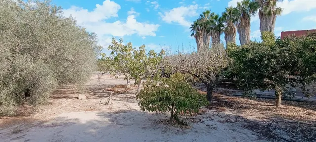 Espléndida Casa de Campo con Piscina en La Hoya, Elche — 36