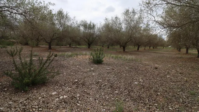 APARTAMENTOS EN UNA RESIDENCIAL EN ORIHUELA COSTA, 2 DOR,2 B