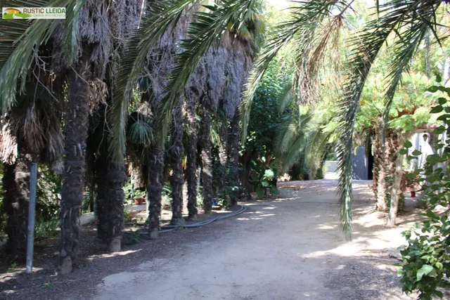 Masía con 18.000 m2 de terreno y amplios almacenes en Penelles. — 6