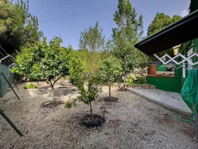 Finca rústica de 5.330 m2 con construcción de 94 m2 en La Florida — 19