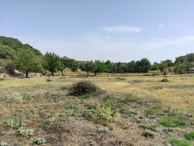 SE VENDE TERRENO URBANO EN URBANIZACIÓN FUENTE TAJUÑA DE LORANCA DE TAJUÑA (GUADALAJARA) — 40