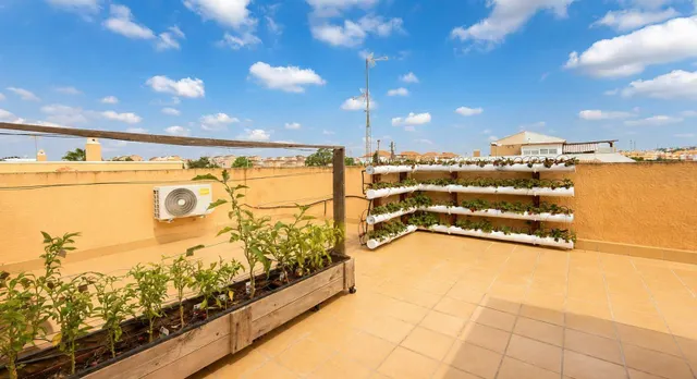 Casa con jardín privado, solárium y gran potencial en Ciudad Quesada — 23