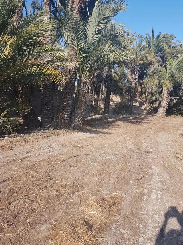 terreno para construir chalet — 24