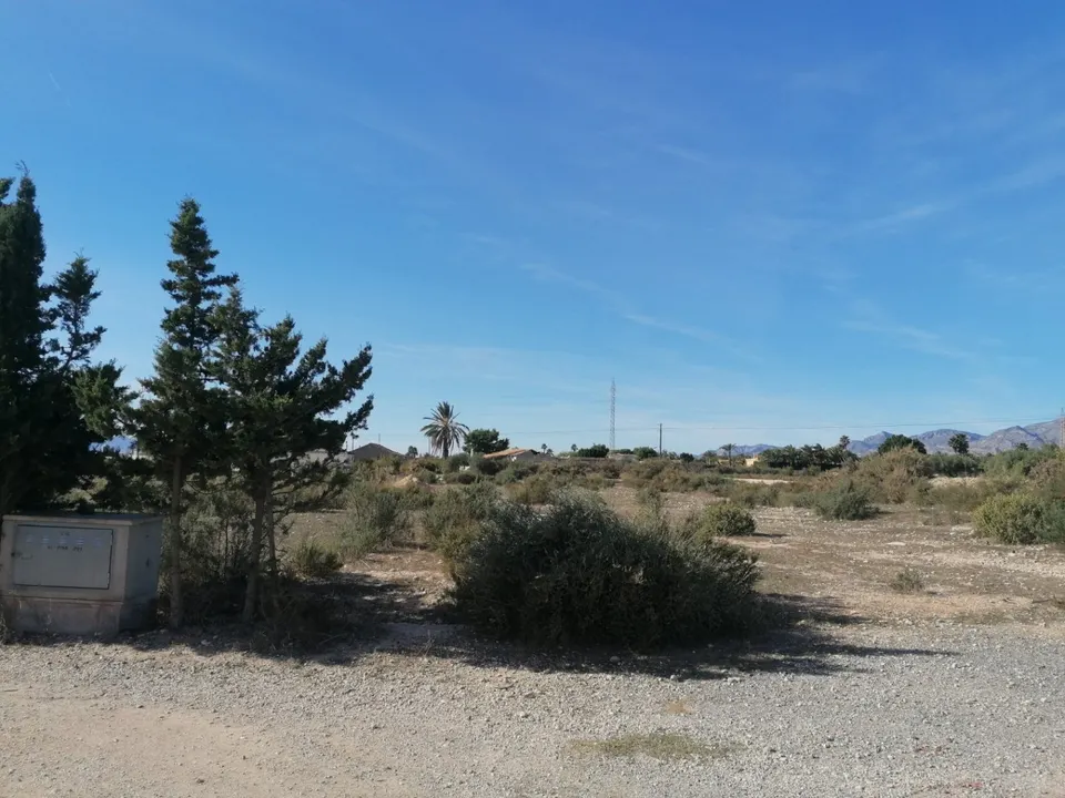 Parcela a 5 km de Elche