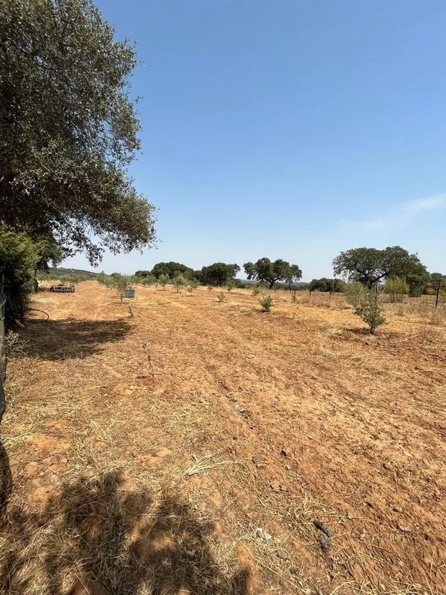 CHALET EN VENTA CTRA OLIVENZA-CHELES — 20