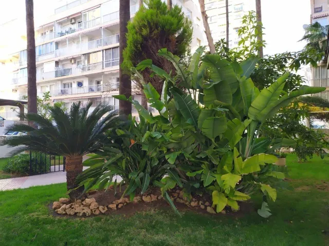 Amplio piso con vistas al mar y 4 dormitorios en 1 Línea playa Levante. — 34