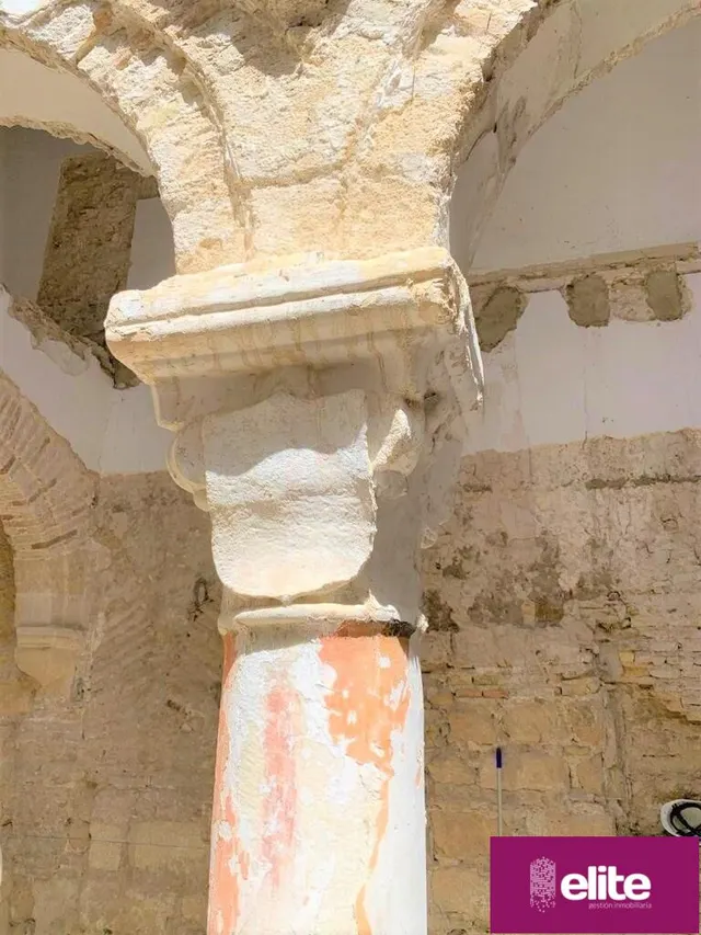 OPORTUNIDAD DE INVERSION MAGNIFICO PALACETE SEÑORIAL  EN EL CENTRO — 27