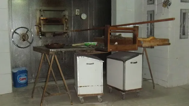 TRASPASO DE HORNO  BOLLERÍA  EN EL BOTANIC — 5