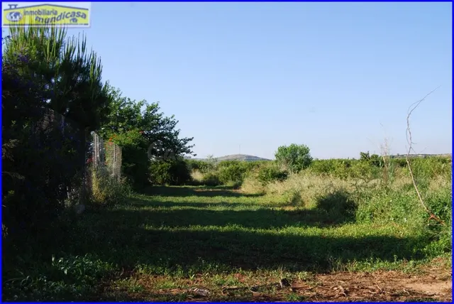 ¡Haz realidad tus sueños de campo con esta parcela rústica e - foto 5