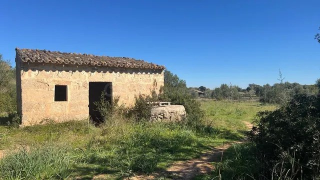 Se vende finca rústica con caseta en Marratxí - foto 2