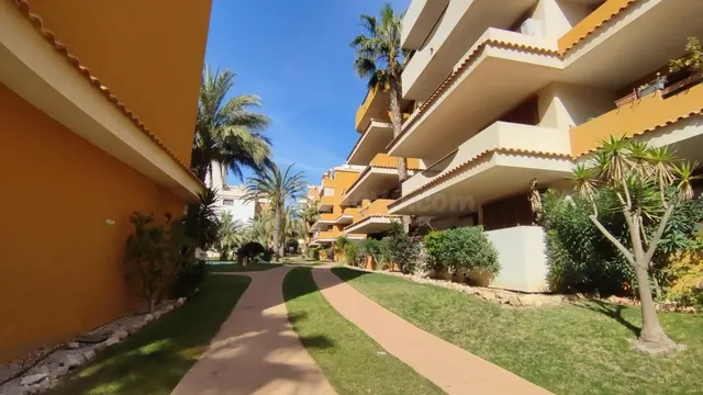 Apartamento 2 habitaciones 75m² en venta - Punta Prima — 24