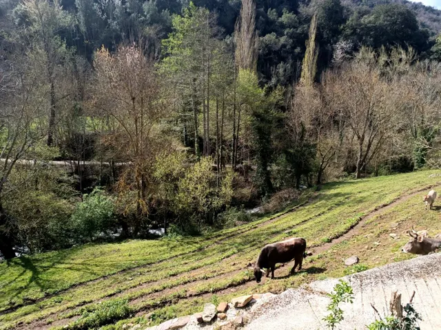 Terreno urbano con proyecto incluido — 21