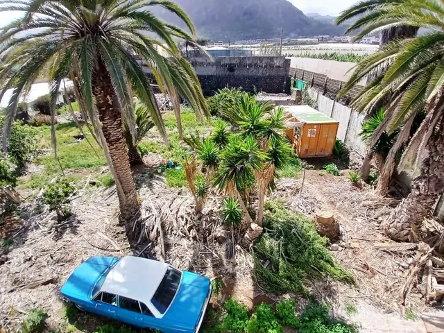Casa con finca en Buenavista del norte — 35
