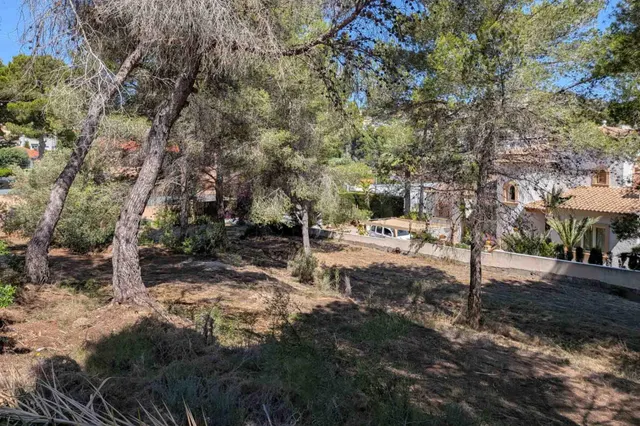 Parcela en venta - Pinar de Advocat-Cometa — 4