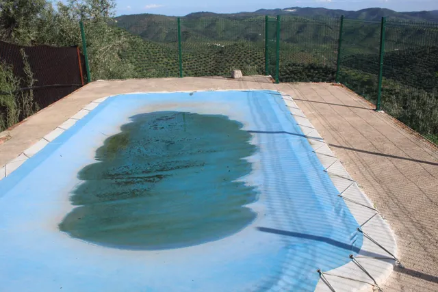 MAGNIFICO OLIVAR CON CASA, COCHERA PARA APEROS Y PISCINA ENTRE VILLAHARTA Y POZOBLANCO. — 7