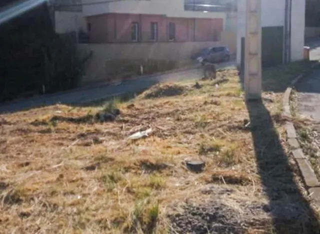 TERRENO URBANO NO CONSOLIDADO EN VENTA EN EL BRUC URB.MONTSERRAT PARK — 17