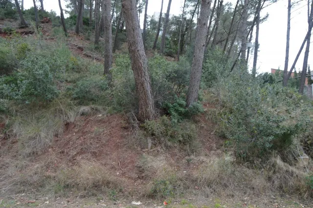 PARCELA EN VENTA EN EL MEJOR SITIO DE CORBERA DE LLOBREGAT (BARCELONA) — 16