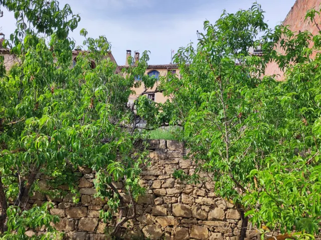 CASA DE PIEDRA DEL SIGLO XVIII Y PARCELA EDIFICABLE CON HUERTO, EN MONISTROL DE CALDERS — 37