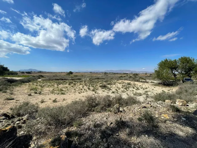 DISFRUTA DEL CAMPO A UN PASO DE LAS PLAYAS DE ELCHE — 7