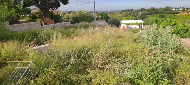TERRENO RÚSTICO EN VENTA EN CANYADA DEL CORRAL – TORRENT - foto 3