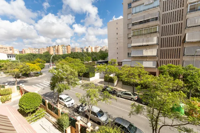Vivienda amplia en Residencial Isla Tabarca — 24