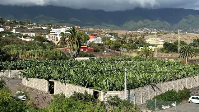 OPORTUNIDAD ÚNICA: GRAN FINCA DE 31.000 M2, secciones URBANA - foto 4