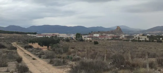 SE VENDEN 5 PARCELAS EN SAX DE 10.000 M2 - foto 4