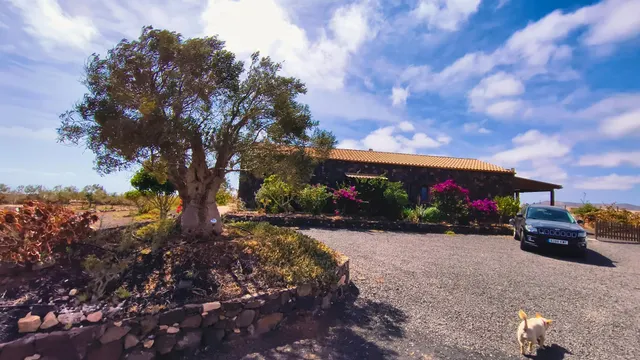 Finca de Lujo con Viñedo, Bodega Subterránea y Vistas Panorámicas al Atlántico — Fuerteventura — 9